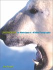 Shooting Bears: The Adventures of a Wildlife Photographer