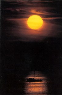 Homer Bound: image of boat and sunset