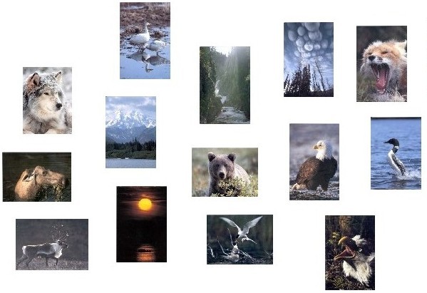 Image map