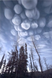 Volcanic Cloud: image of ash cloud over anchor point